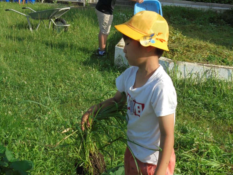 7月6日の1年生です。朝の活動の画像