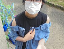 添付画像