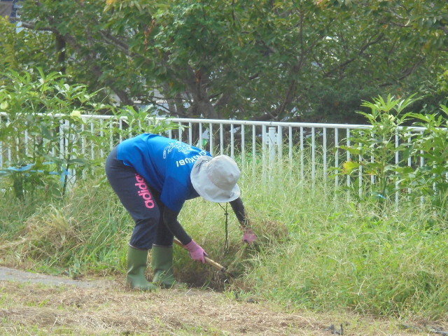 職員室だより　着々と環境整備中です。の画像