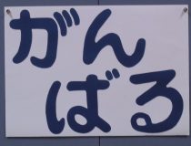 トピックスの画像