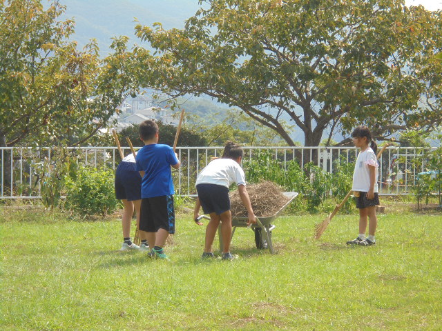 ６年生　縦割り清掃頑張ってます。の画像