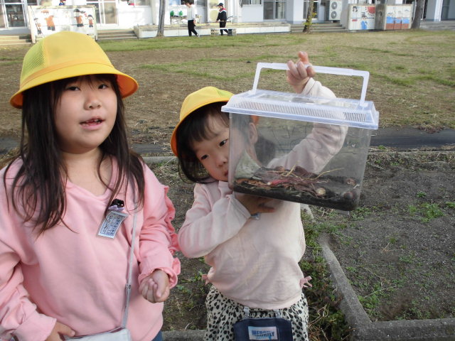 １０月２６日の１年生です。の画像