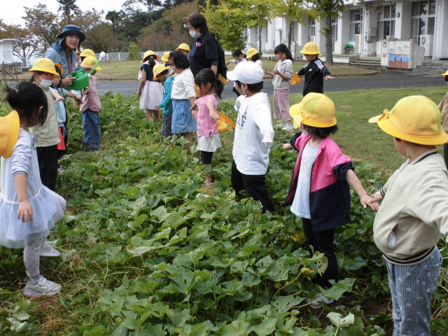 １０月２７日の１年生です。の画像