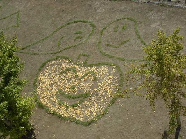 6年生の力作です。の画像