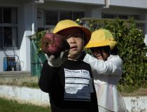 添付画像