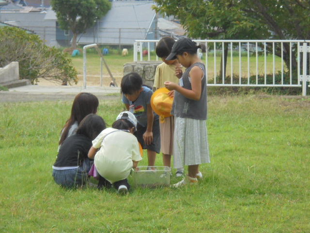 10月4日の1年生です。の画像