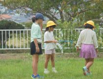添付画像