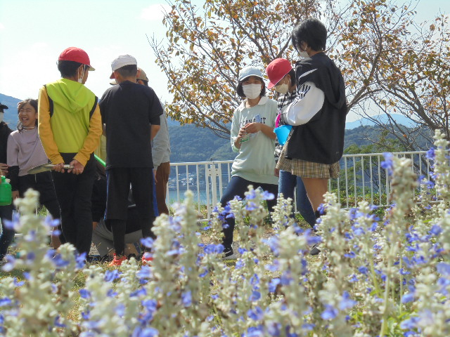 ６年生　学級園・中庭のお手入れの画像