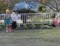 添付画像