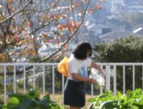添付画像