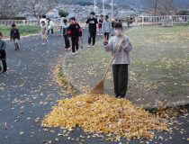 添付画像