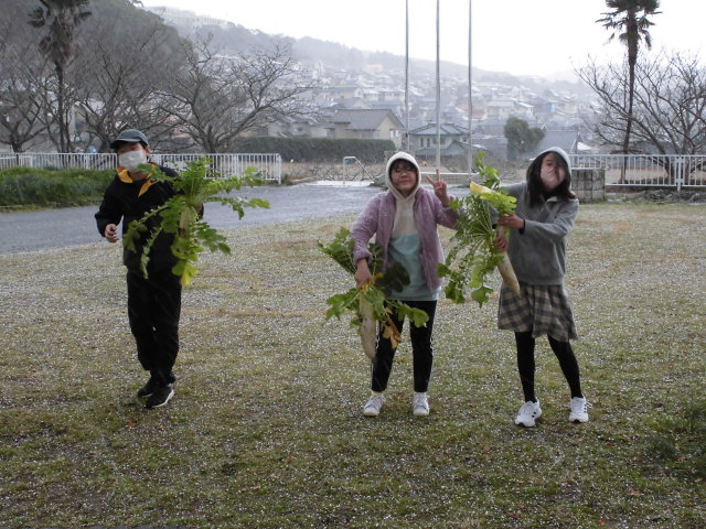 ５年生　雪の中での収穫の画像