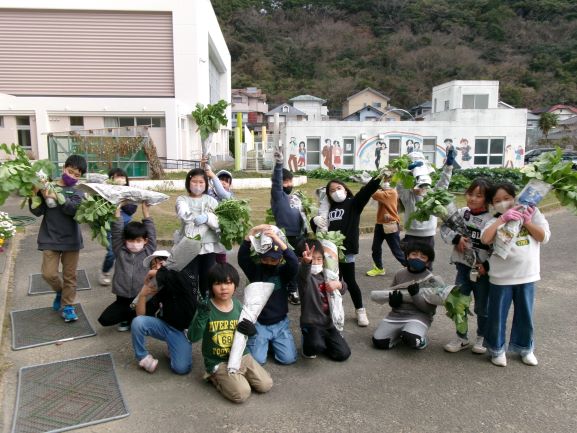 ２年生　大根の収穫の画像