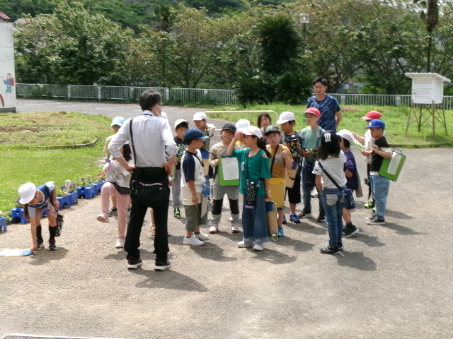 ３年生　校外学習②の画像