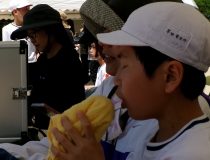 添付画像