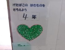 添付画像