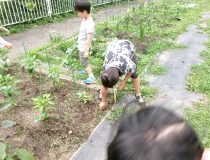 添付画像
