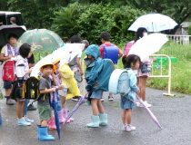 添付画像