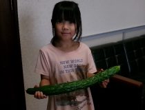 添付画像
