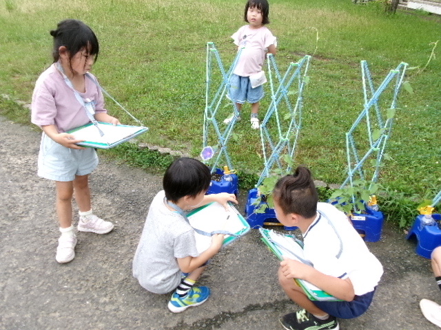７月２日の１年生です。の画像