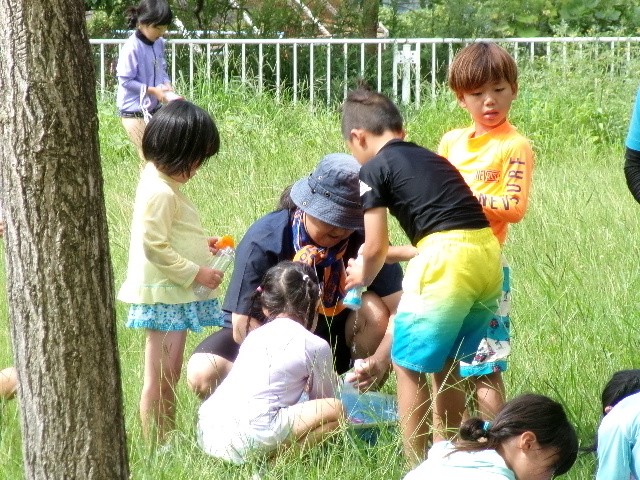 ７月１０日の１年生です。の画像