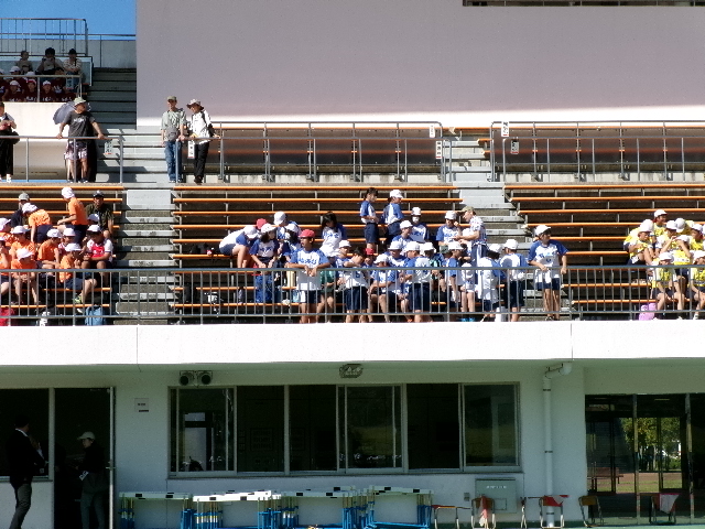 ６年生　小学校体育大会の画像