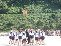 添付画像