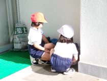 添付画像