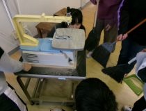 添付画像