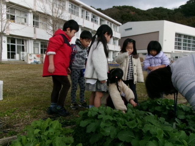 １月１４日の１年生です。の画像
