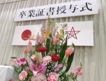トピックスの画像