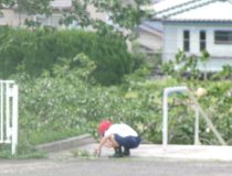 添付画像