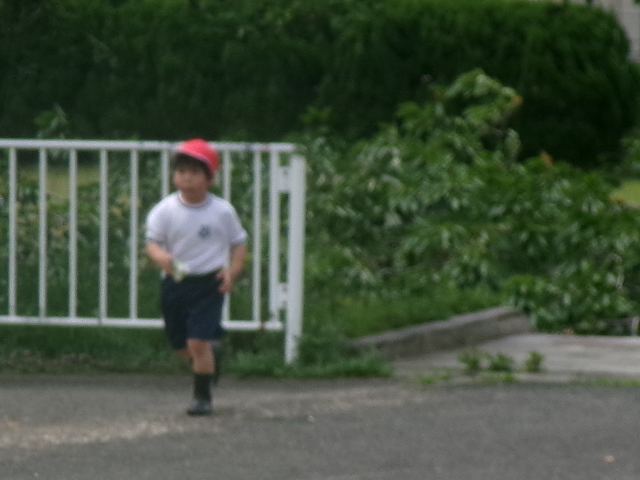 ６月１６日の１年生です。の画像