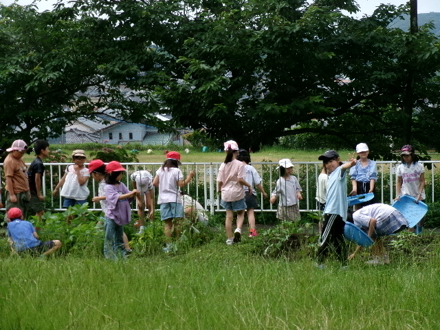 ３年生　学級園にての画像