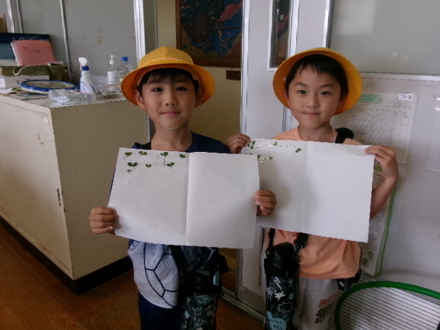 ６月２６日の１年生です。の画像