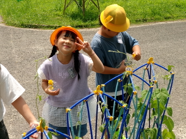 ７月１日の１年生です。の画像