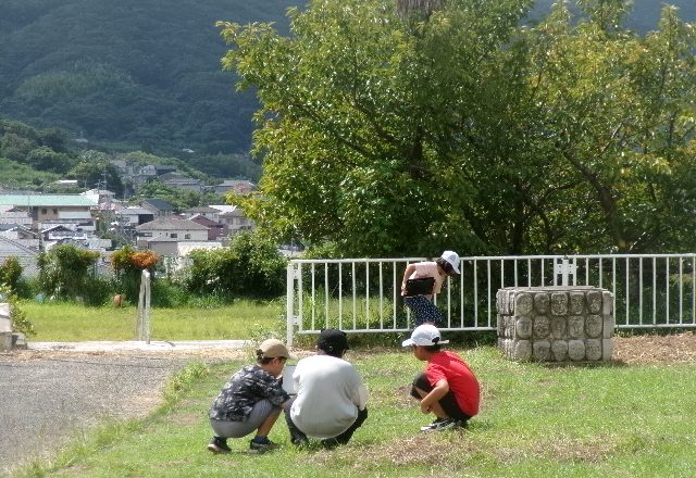 メインビジュアル