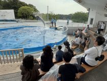 添付画像