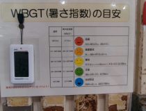 添付画像