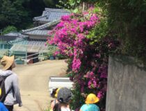 添付画像