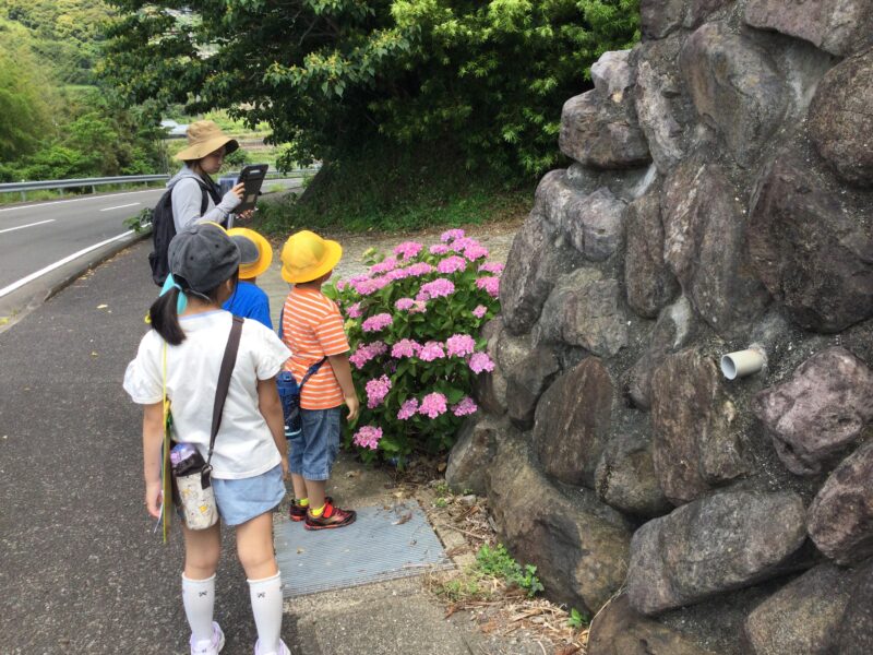 １、２年生町探検の画像