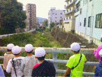 トピックスの画像