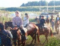 トピックスの画像