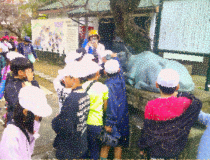 トピックスの画像