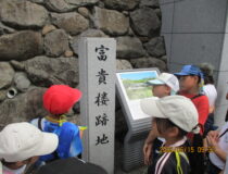 添付画像