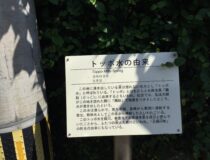 添付画像