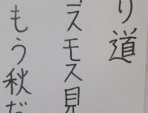 添付画像