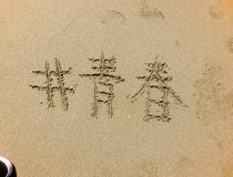 添付画像