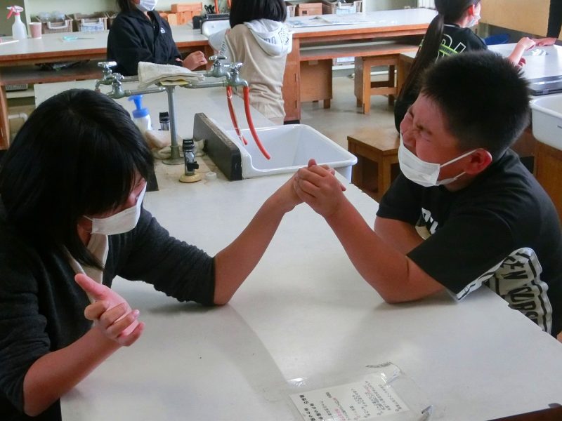 わたしたちの体と運動（4年）の画像