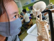添付画像